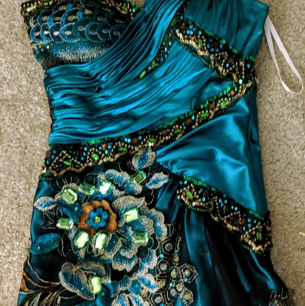 BICICI PEACOCK GOWN